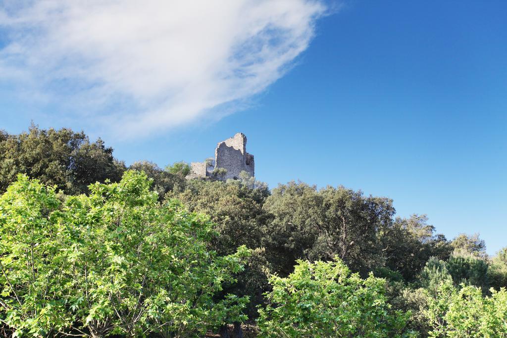 Residence Odalys La Palmeraie Grimaud Buitenkant foto